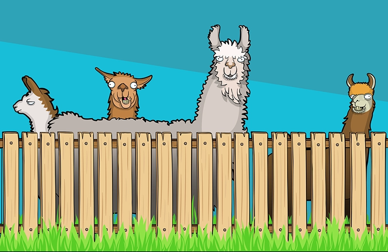 Four cartoon llamas peer over a wooden fence, each with a different facial expression.