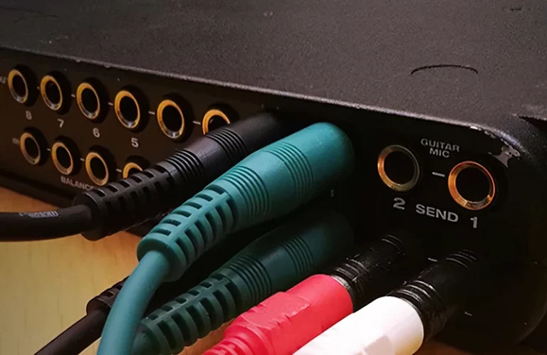 Blog Header Image: Motu